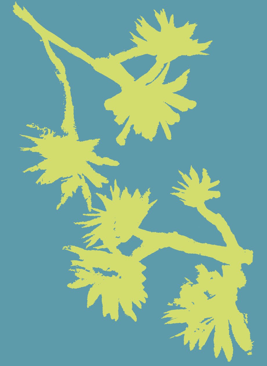 Succulent_2, 2022 (tinta sobre papel) de Marco Campedelli