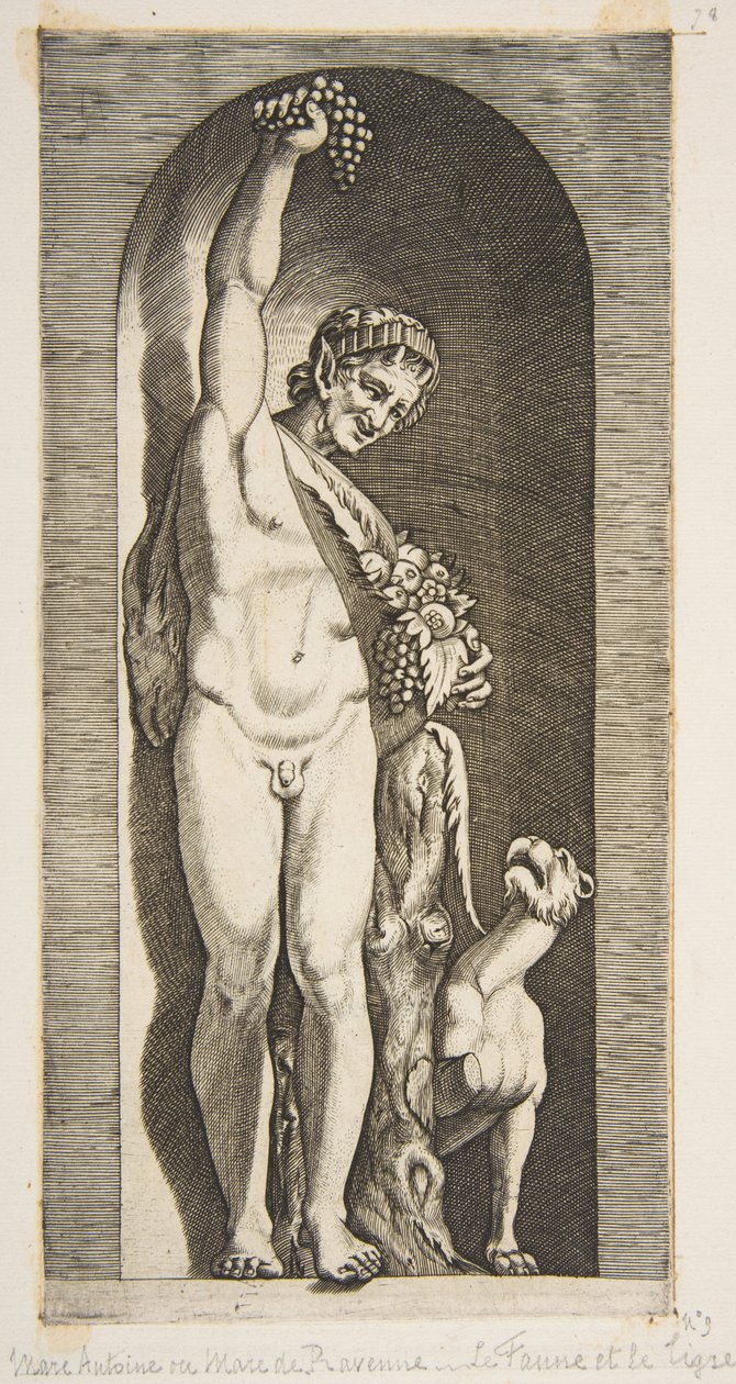 Um fauno em pé em um nicho segurando no alto um cacho de uvas com a mão direita e ..., ca. 1515-27. de Marco Dente