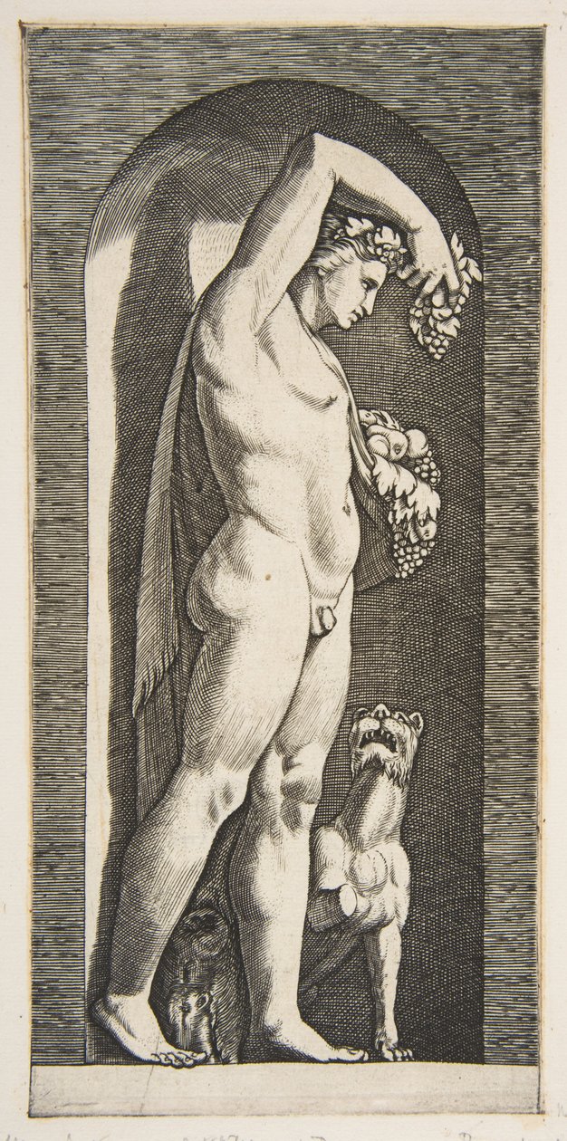 Baco em pé em um nicho segurando uvas em sua mão direita levantada, frutas em sua l ..., ca. 1515-27. de Marco Dente