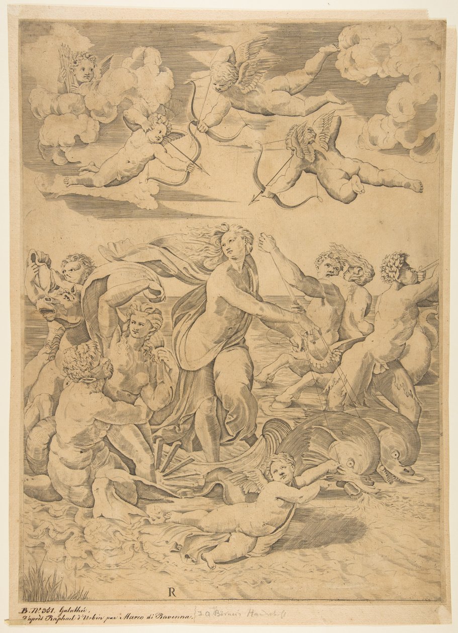 Galatea cavalgando em uma concha puxada através da água por golfinhos, um cupido abaixo ef ..., ca. 1515-27. de Marco Dente