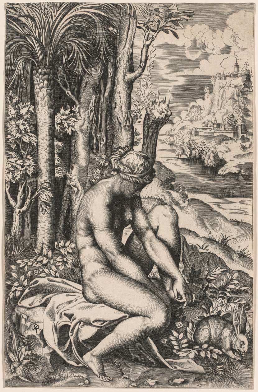 Vênus Ferido por um Espinho de Rosas, c. 1516 de Marco Dente