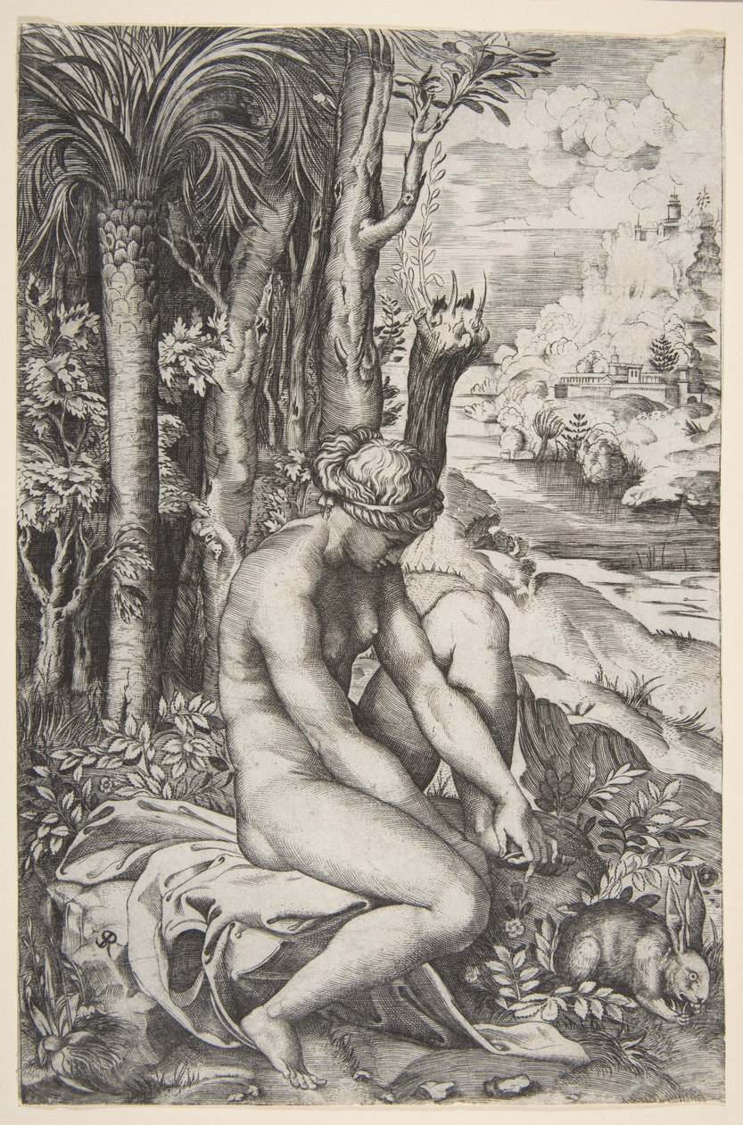 Vênus removendo um espinho do pé esquerdo enquanto estava sentado em um pano ao lado de árvores, um ..., ca. 1515-27. de Marco Dente