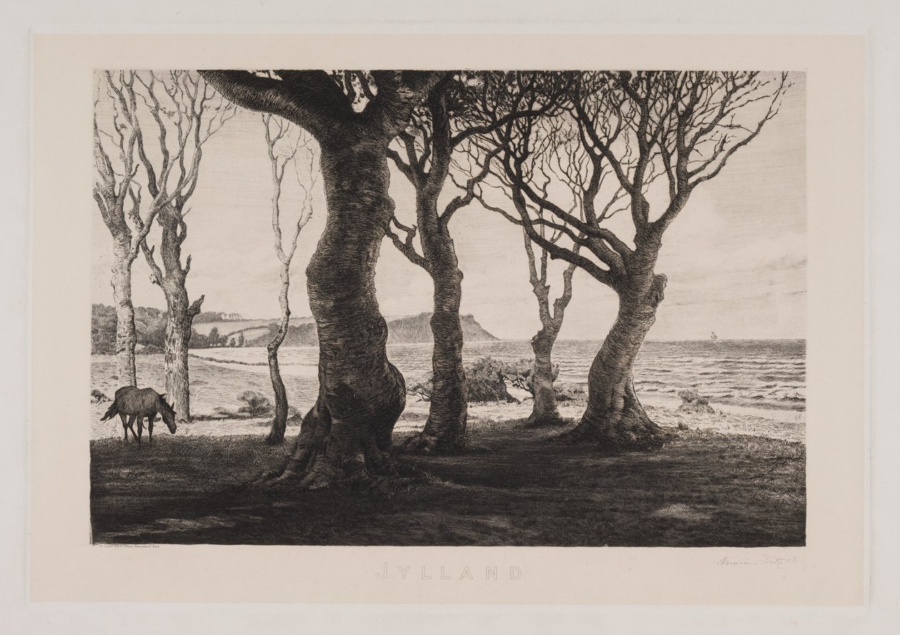 paisagem da Jutlândia de Marcus Bech Fritz