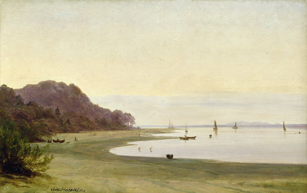 A costa do Elba (óleo sobre papel montado a bordo) de Marcus Johann Haeselich