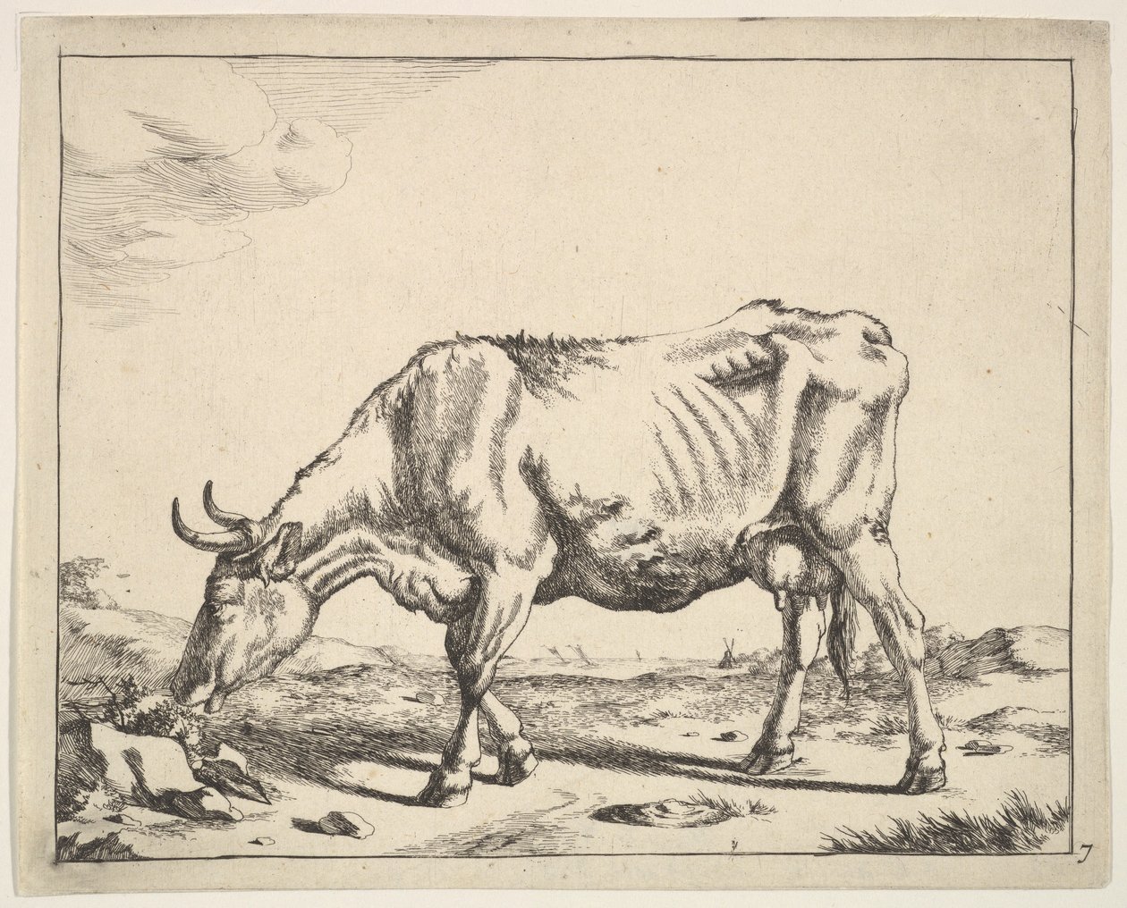 Vaca, depois do Paulus Potter. de Marcus de Bye