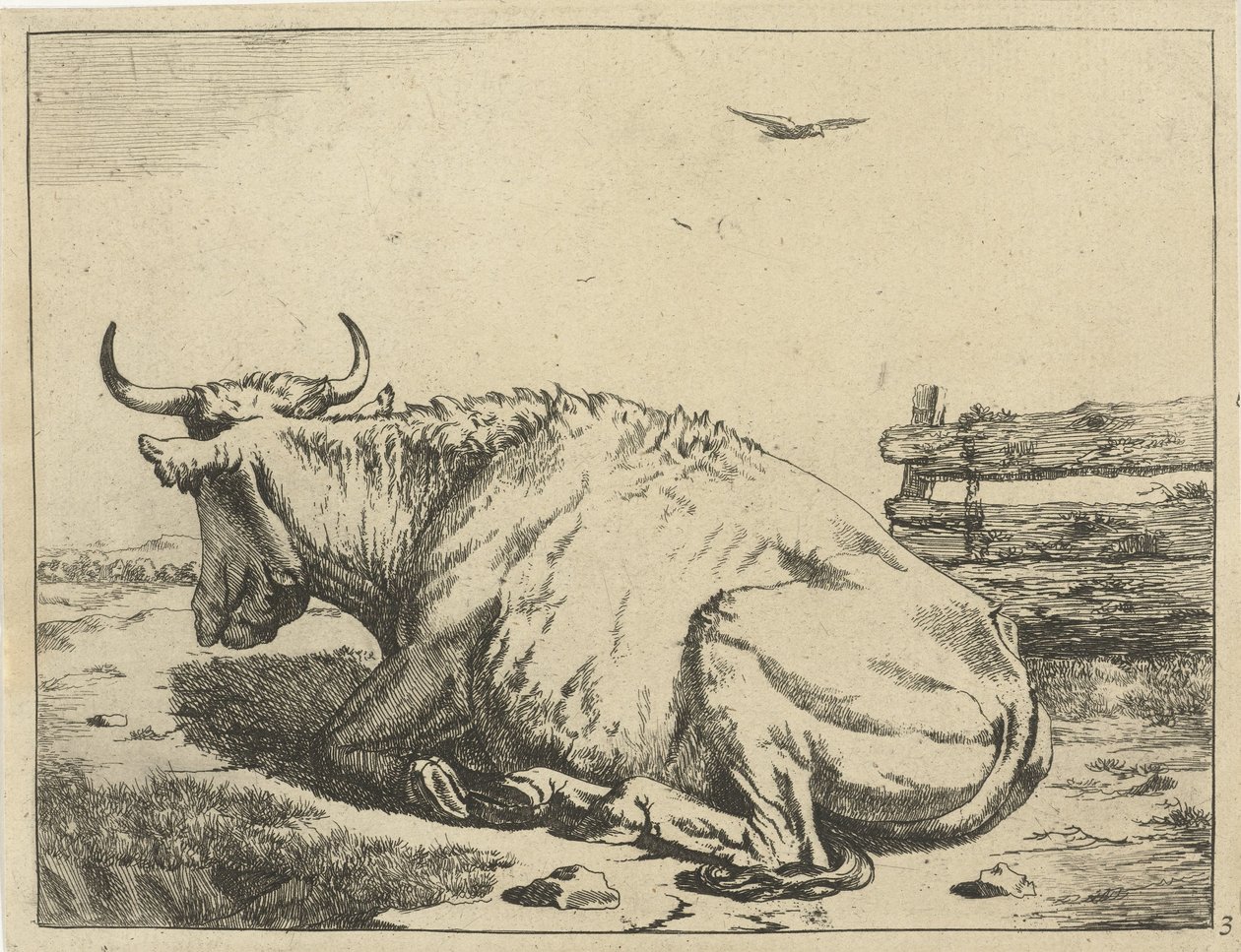 Vaca deitada na cerca
Bovinos (título da série) de Marcus de Bye
