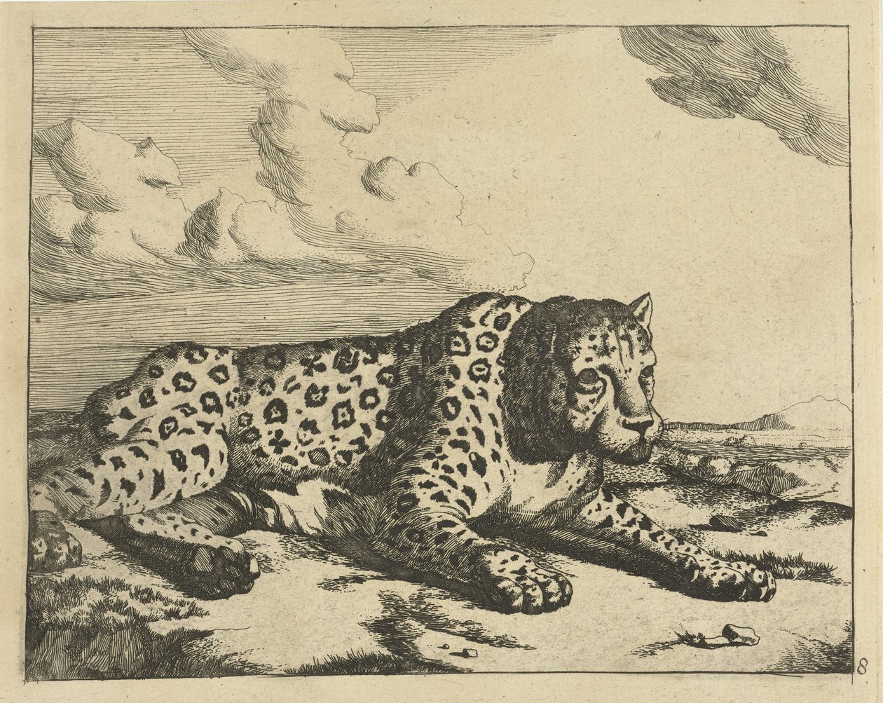 Leopardo deitado para a direita, pernas viradas para o telespectador
Leopardos (título da série) de Marcus de Bye