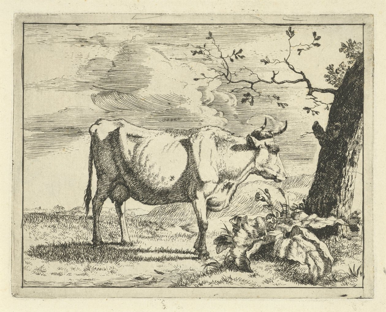 Vaca em pé perto de uma árvore
Bovinos e suínos (título da série) de Marcus de Bye