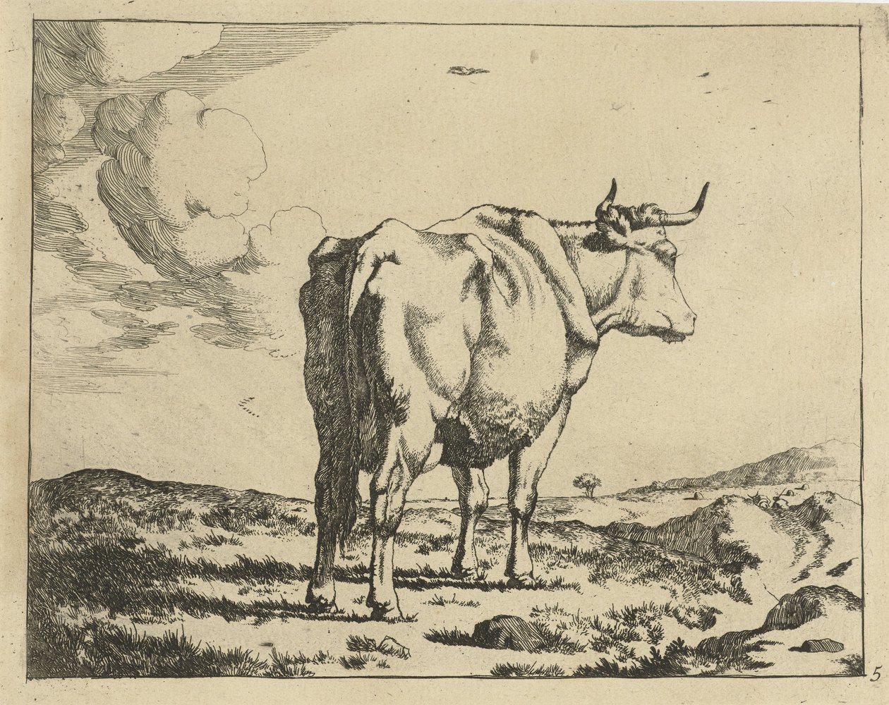 Vaca em pé, vista por trás
Bovinos (título da série) de Marcus de Bye