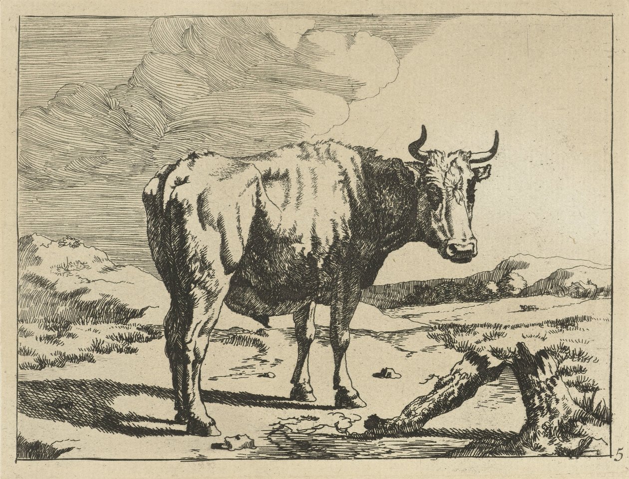 Touro em pé no toco de árvore Vacas e ovelhas (título da série) de Marcus de Bye