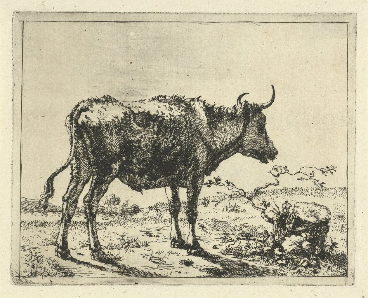 Touro de pé junto ao tronco de árvore
Bovinos e suínos de Marcus de Bye