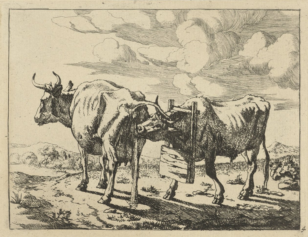 Duas vacas de pé
Vacas e ovelhas (título da série) de Marcus de Bye