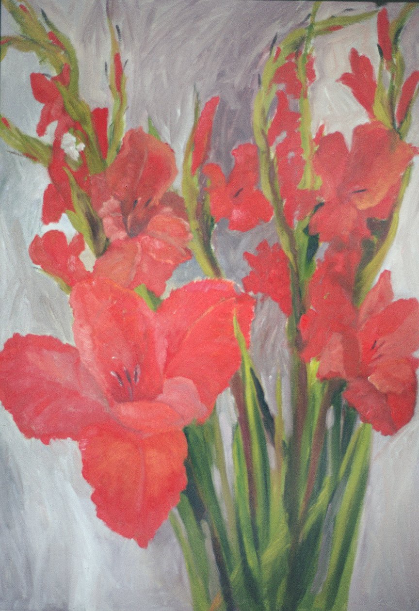 Gladioli Vermelho de Margaret Norris
