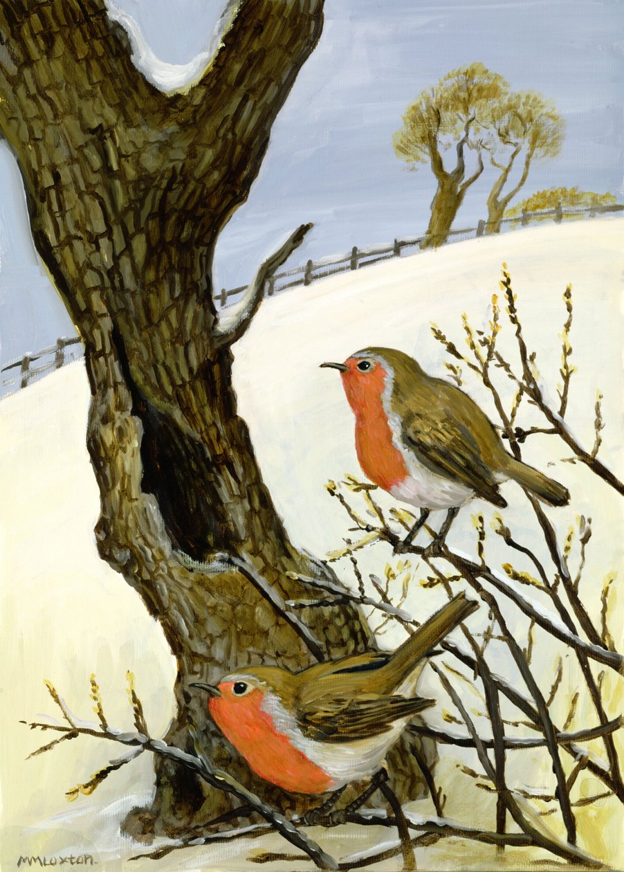 Um par de robins de Margaret Loxton