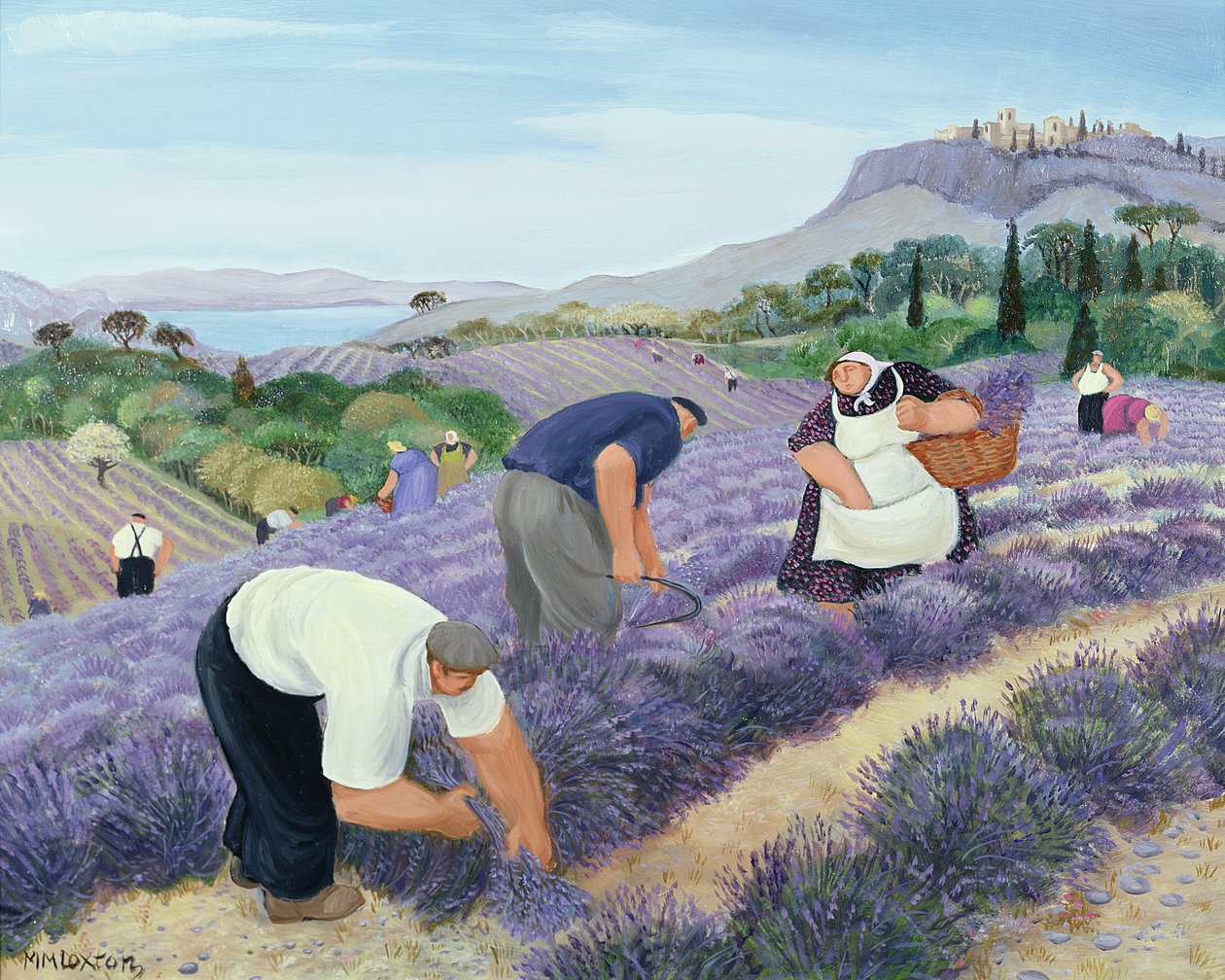 Lavanda de Margaret Loxton