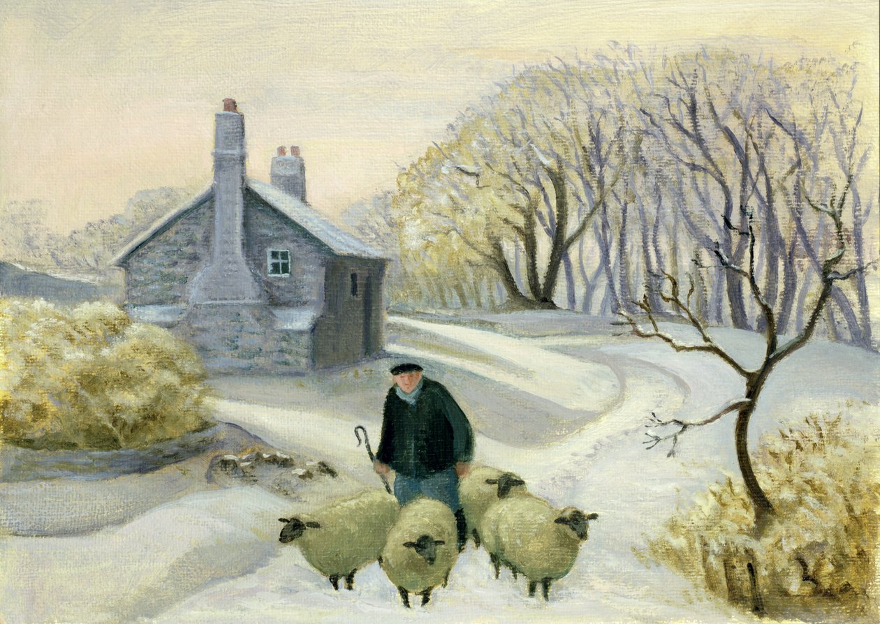 Conduzir as ovelhas de Margaret Loxton