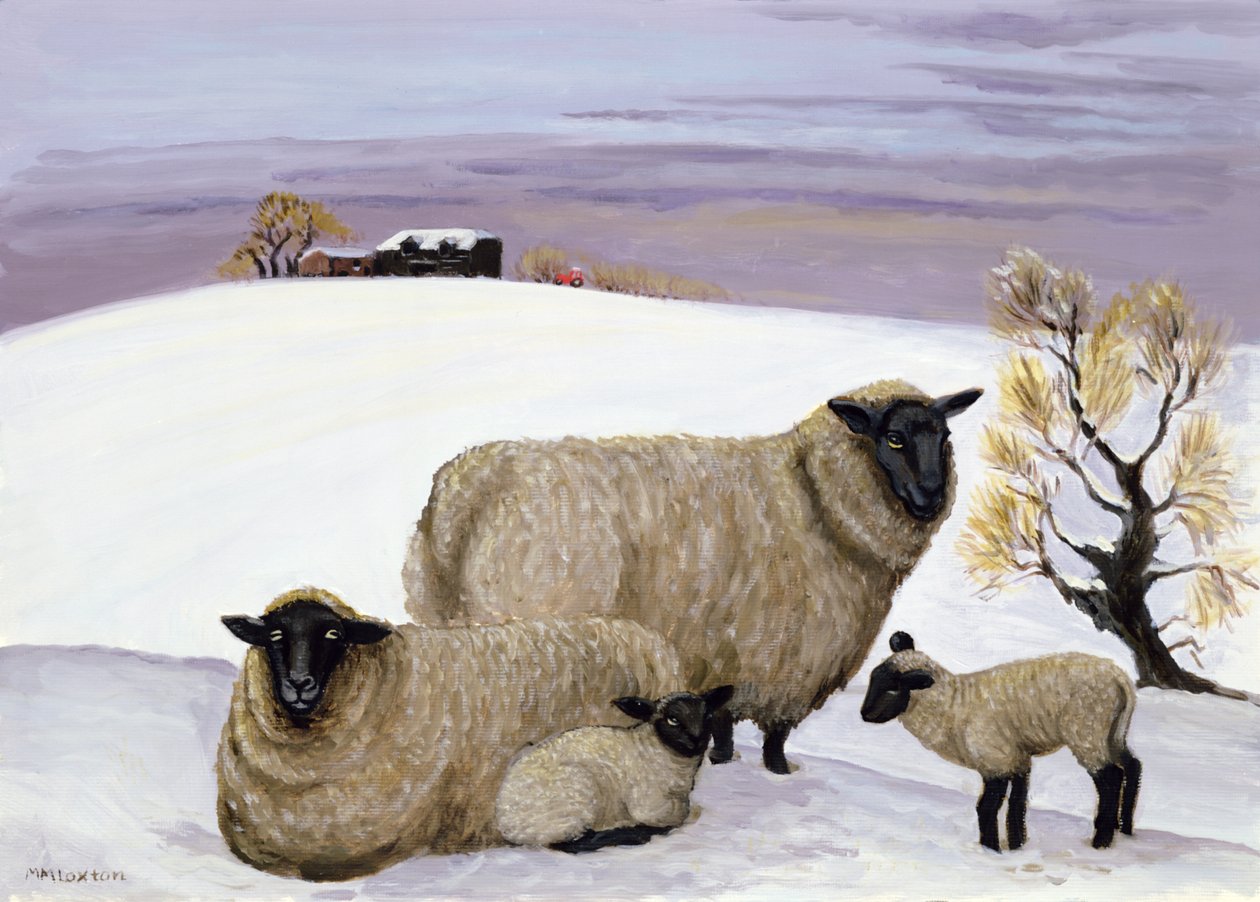 Ovelhas no inverno de Margaret Loxton