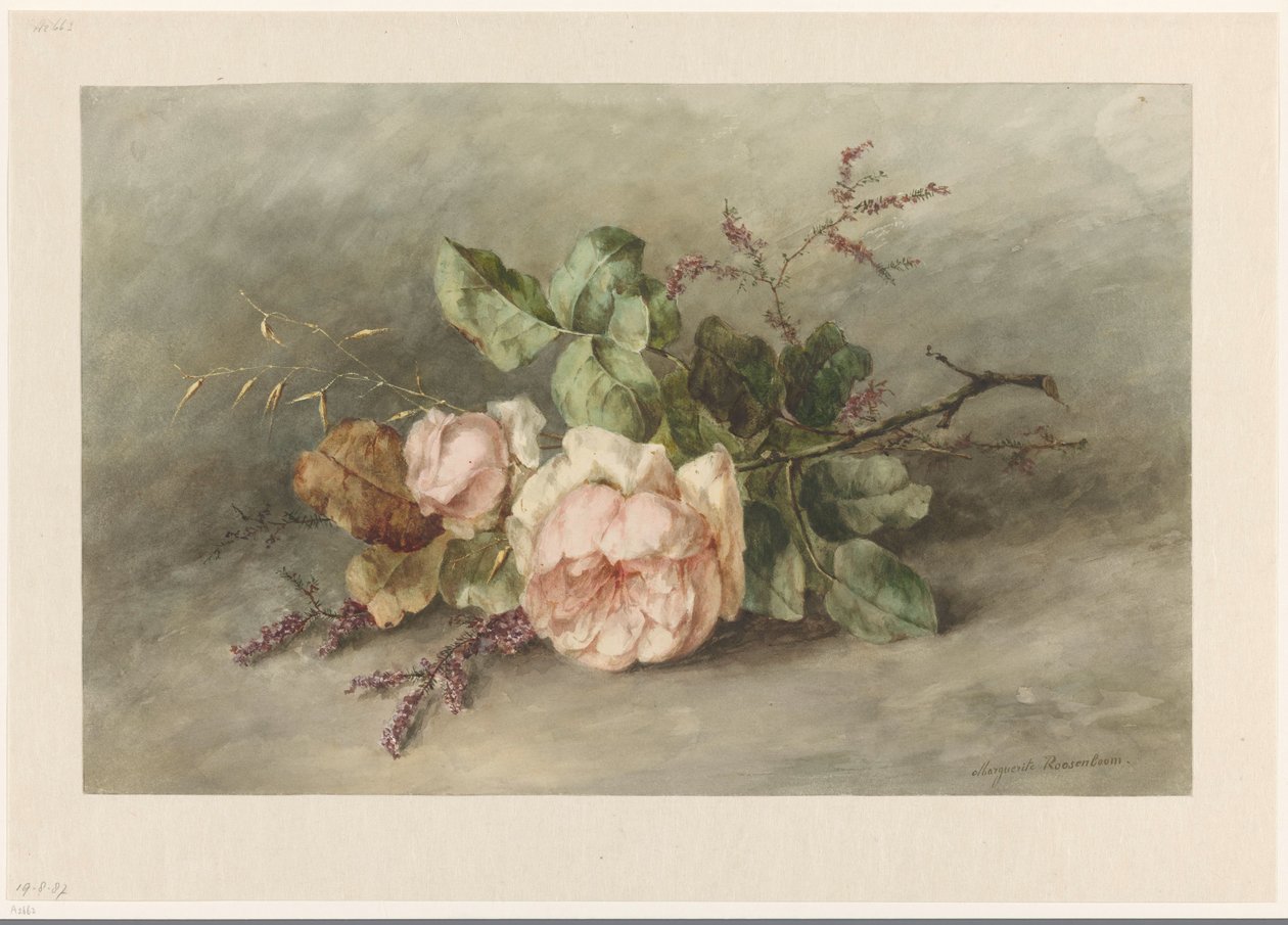 rosas de Margaretha Roosenboom