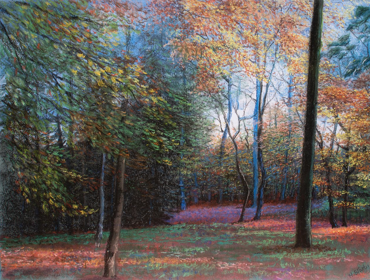 Outono na floresta, 1999 (pastel) de Margo Starkey