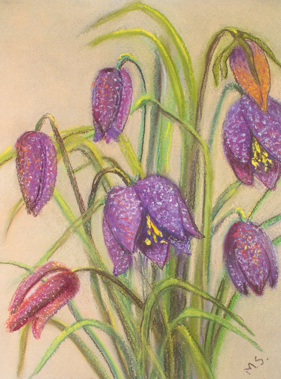 Bando de Fritillaria, 2015 (pastel) de Margo Starkey