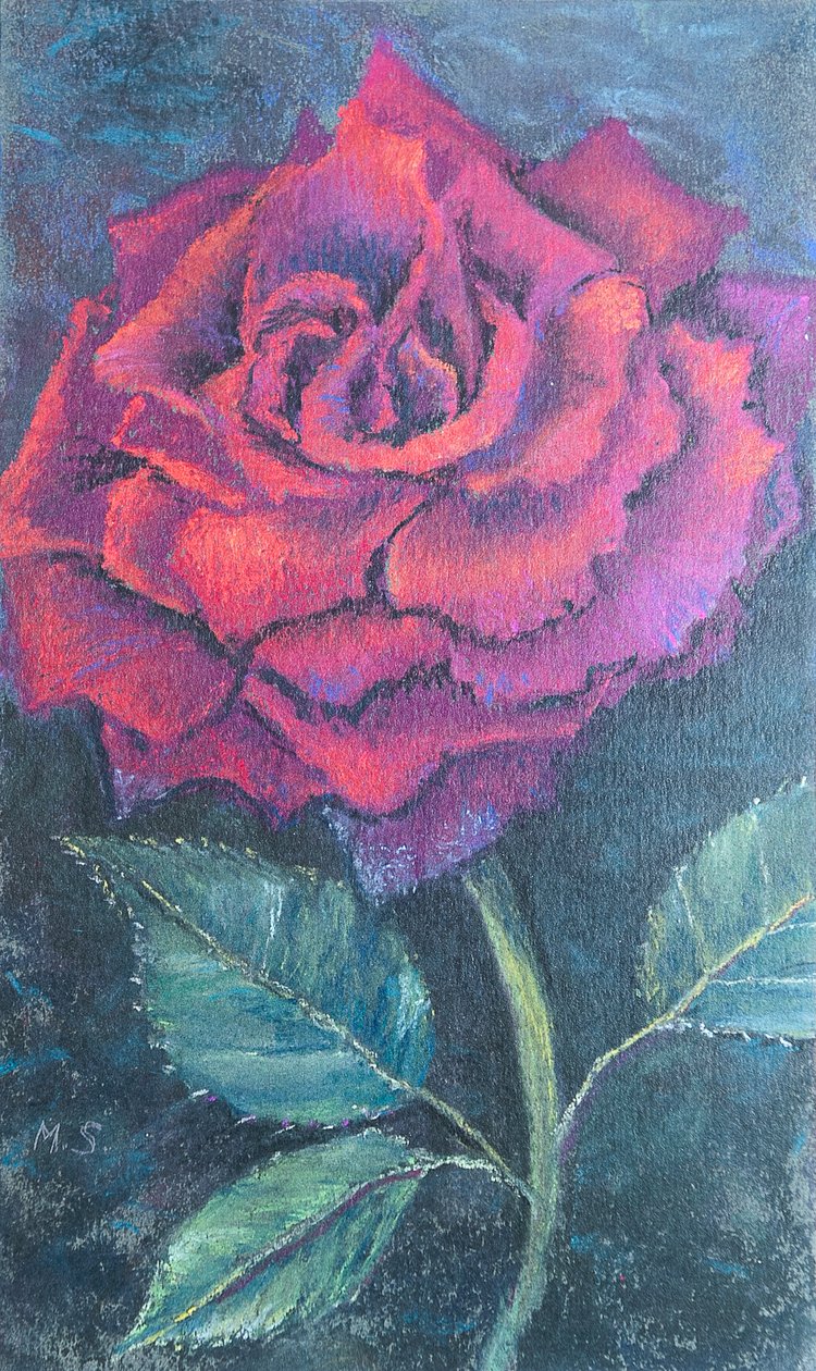 Beleza da rosa, 2020 (pastel) de Margo Starkey