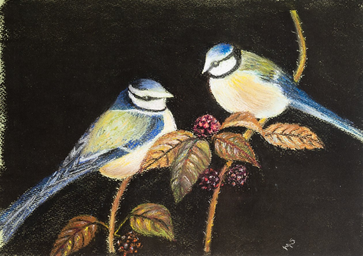 Tetas azuis em festa, 2021 (pastel) de Margo Starkey