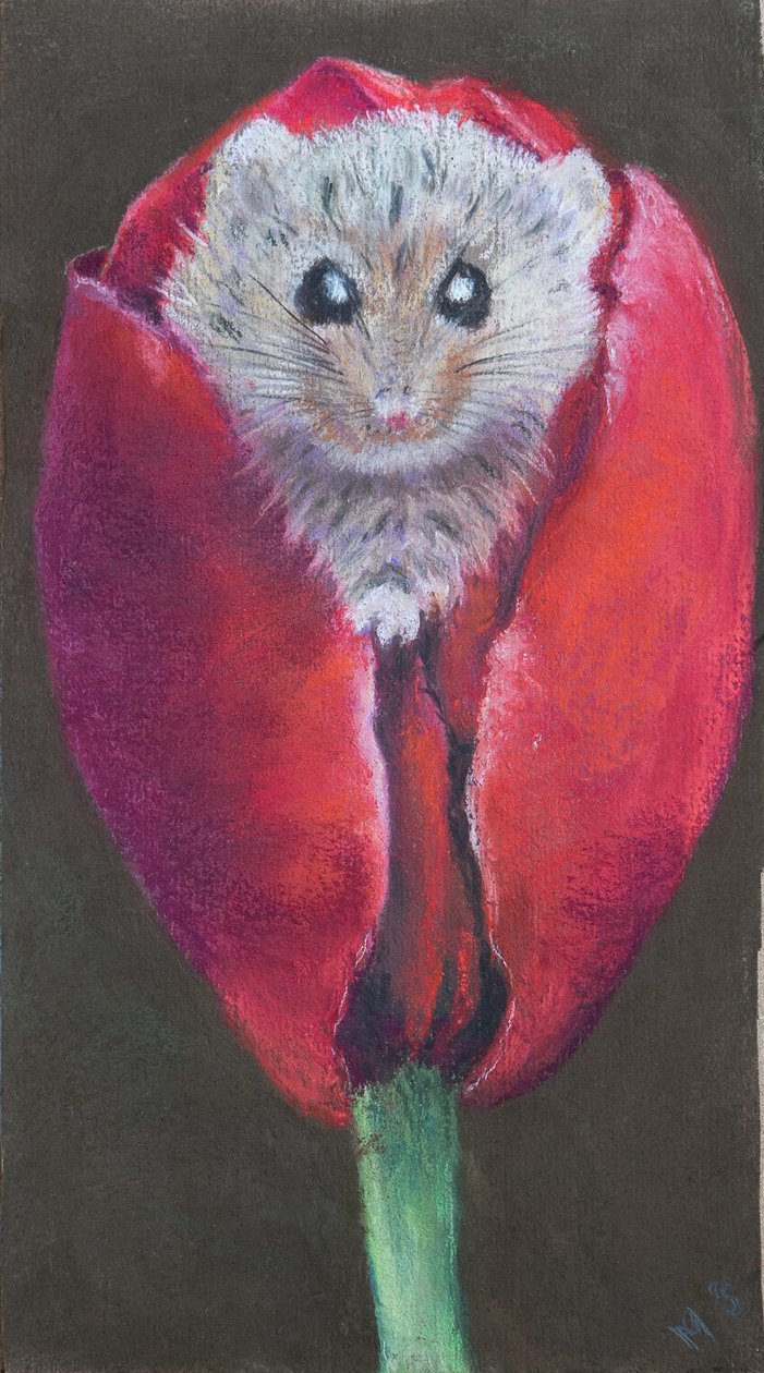 Rato de porta em tulipa, 2022 (pastel) de Margo Starkey