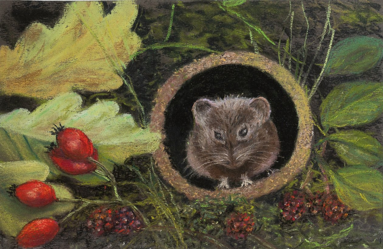 Rato de campo no tubo de drenagem, 2020 (pastel) de Margo Starkey