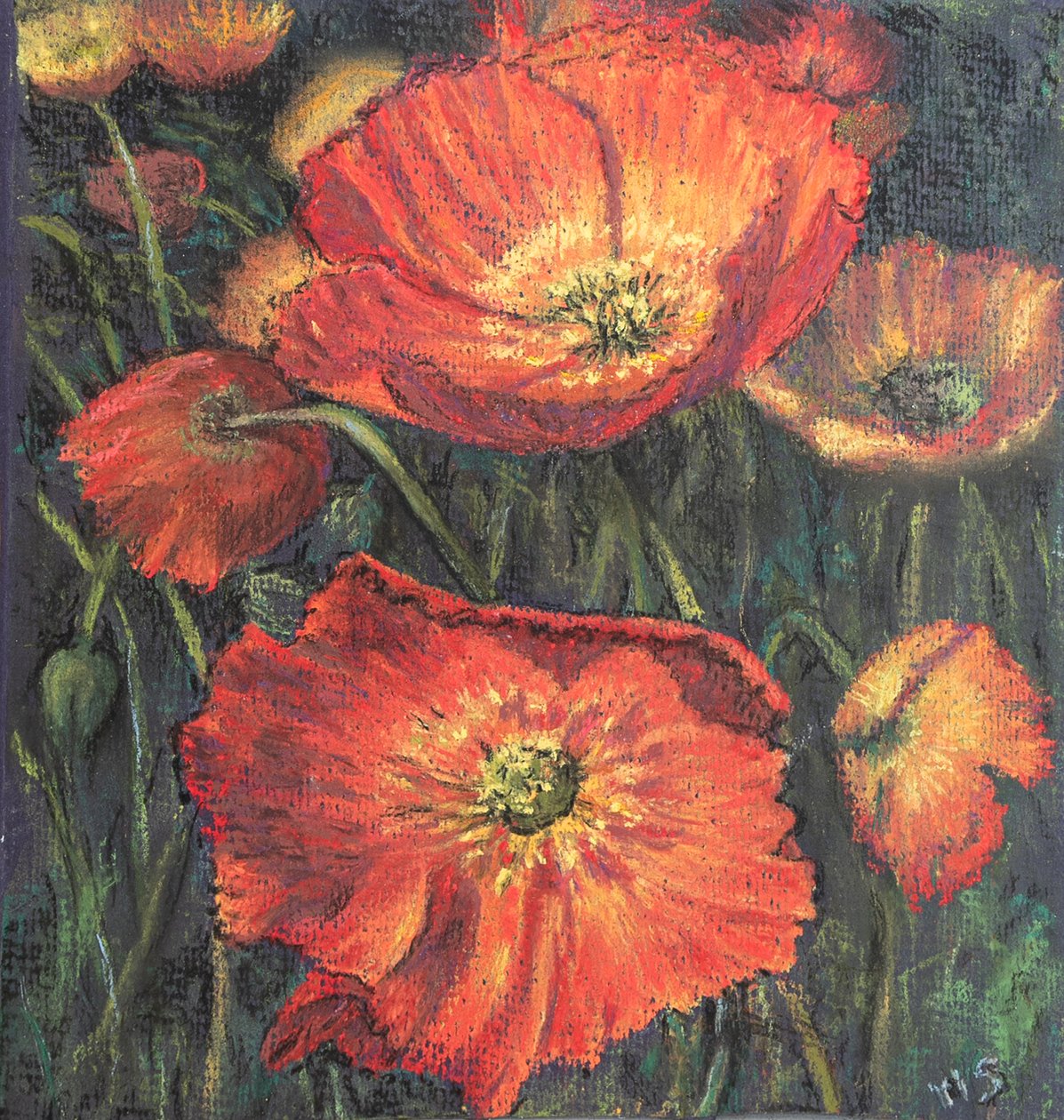 Primeiras papoulas, 2020 (pastel) de Margo Starkey