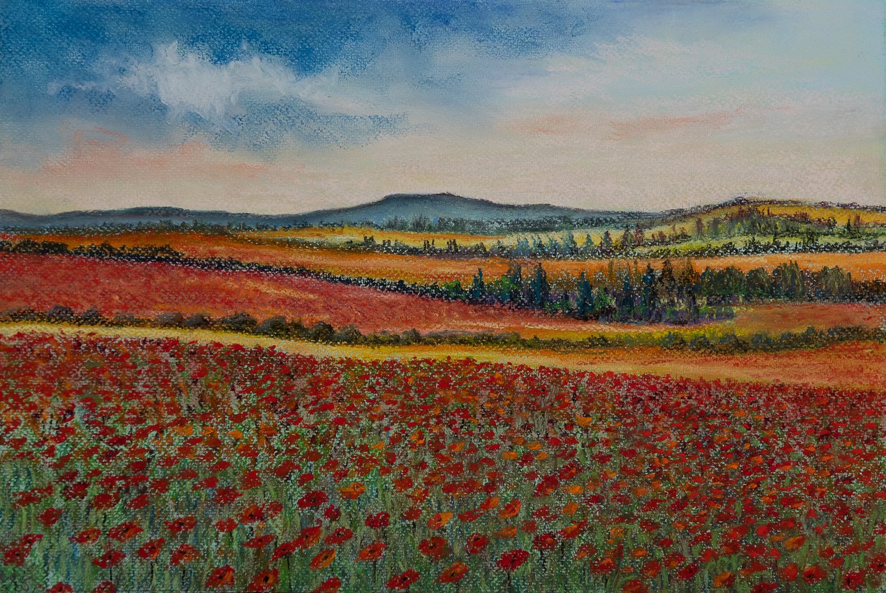 Campos de papoula..Flanders, 2020 (pastel) de Margo Starkey