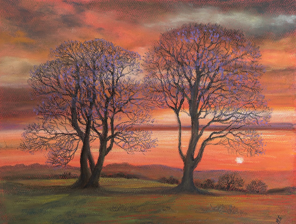 Luz do sol através das árvores, 2020 (pastel) de Margo Starkey