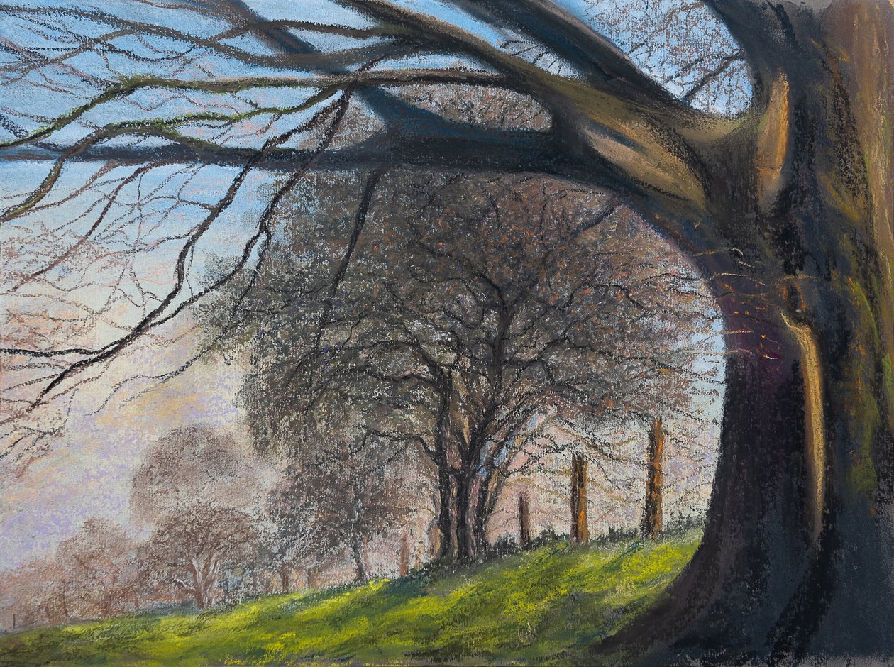 Árvores sopradas pelo vento ... Shroesbury, 2020 (pastel) de Margo Starkey