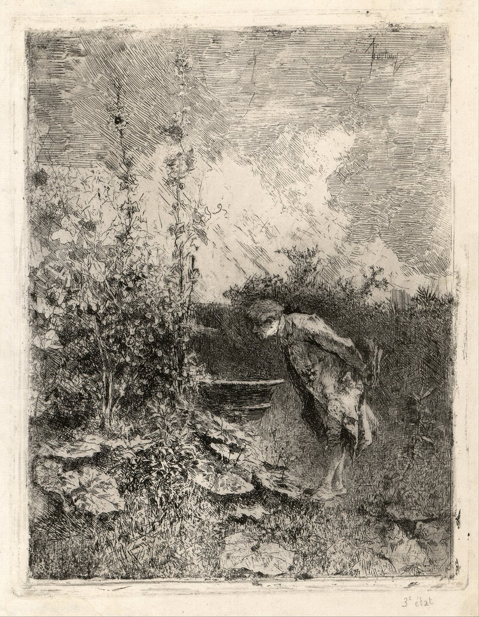 O botânico de Marià Fortuny Marsal