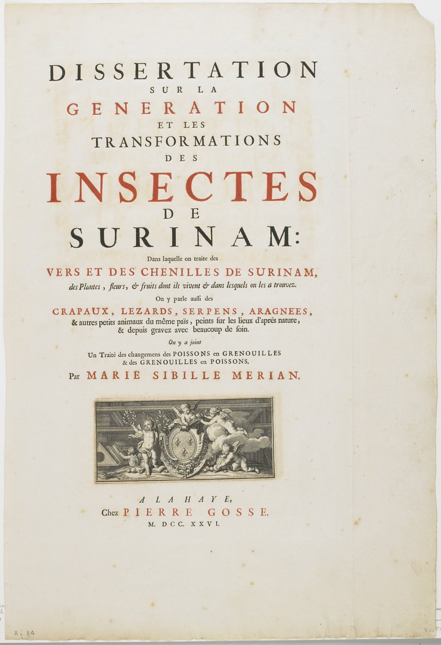 Página de rosto de Metamorphosis Insectorum Surinamensium, 1726 (gravura e tipografia) de Maria Sibylla Merian