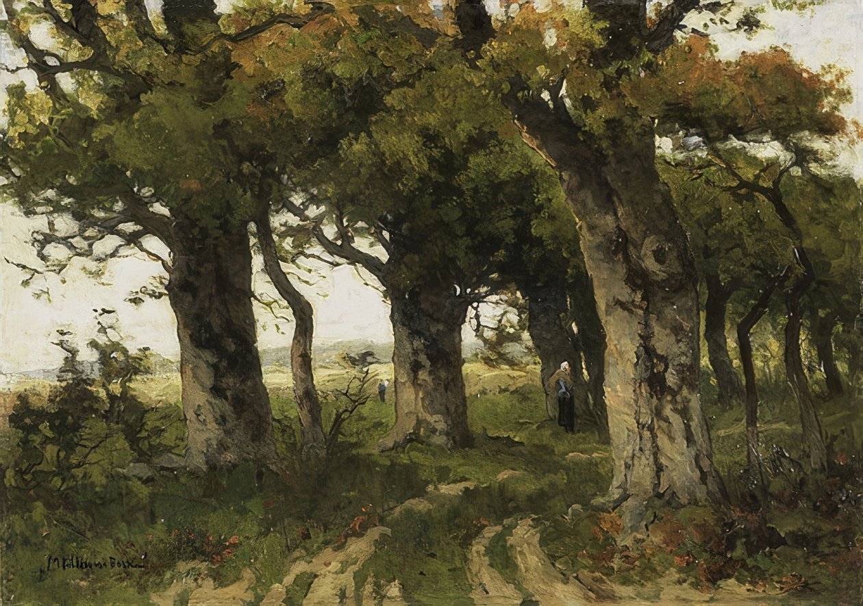Avenida Oak, no final do verão. 1880-1900 de Maria Bilders van Bosse