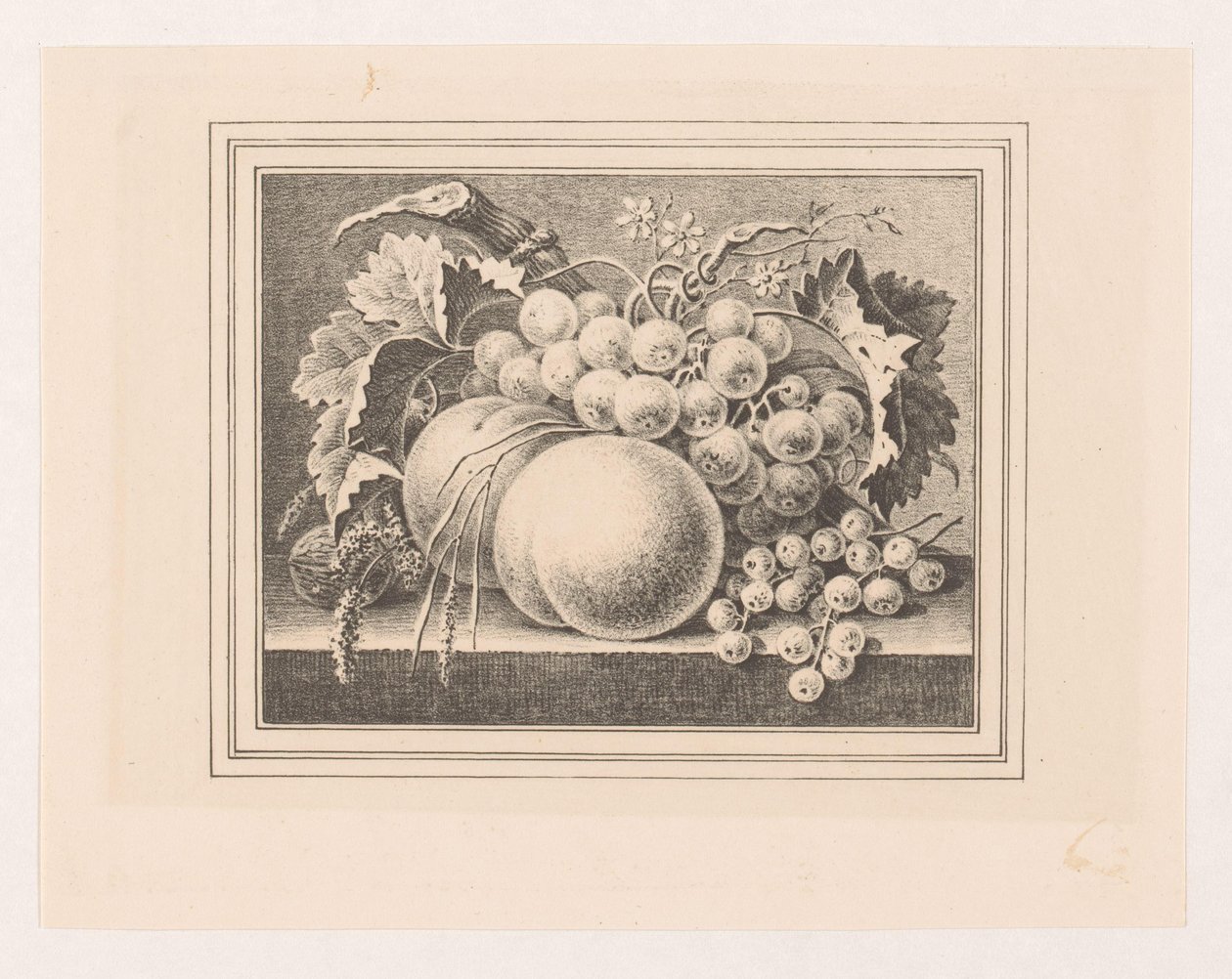 Composição com frutos numa moldura de Maria Geertruida de Goeje Barbiers (attributed to)