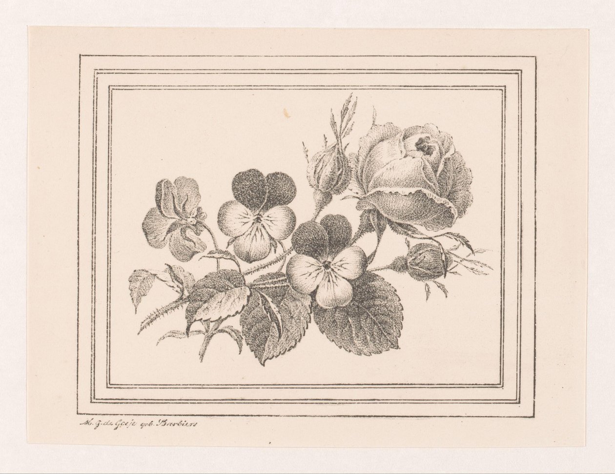 Rosas e violetas de Maria Geertruida de Goeje Barbiers