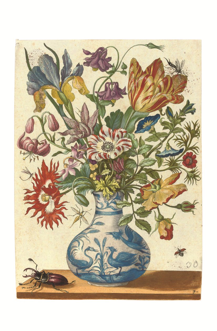 Prato do Blumenbuch (gravura colorida à mão) de Maria Sibylla Graff Merian