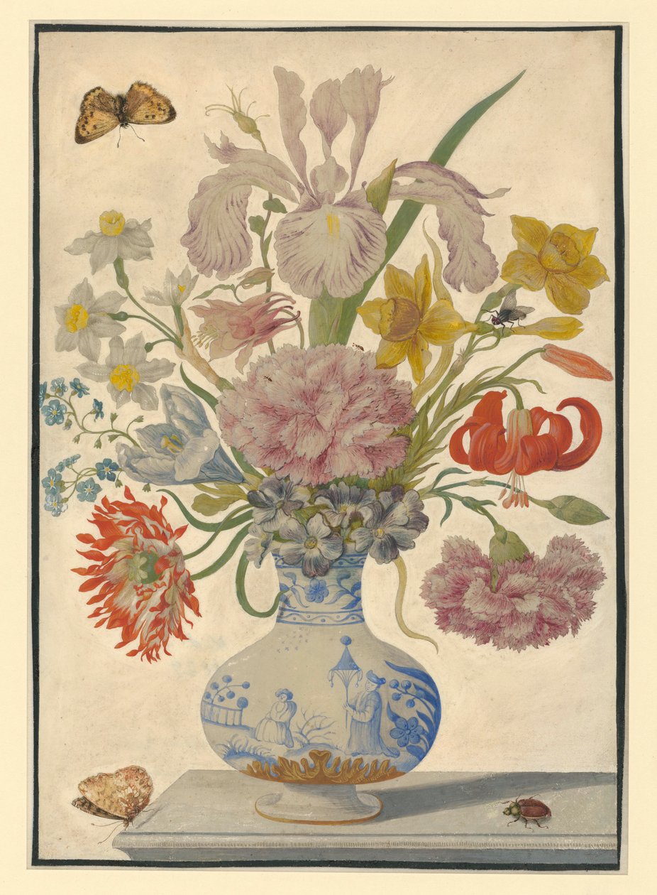Vaso chinês com íris, lírios e cravos. Sobre a mesa, uma borboleta à esquerda e um escaravelho-de-maio à direita de Maria Sibylla Merian