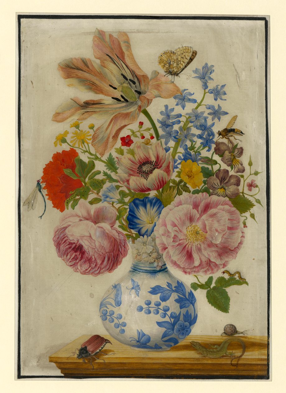 Vaso chinês com rosas, papoilas e cravos de Maria Sibylla Merian