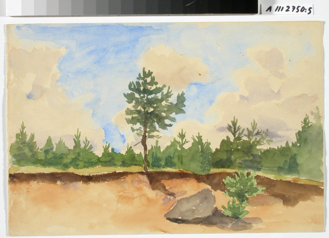 Estudo de paisagem, pedreira de areia de Maria Wiik