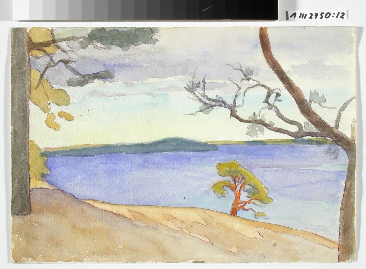 Paisagem costeira de Maria Wiik