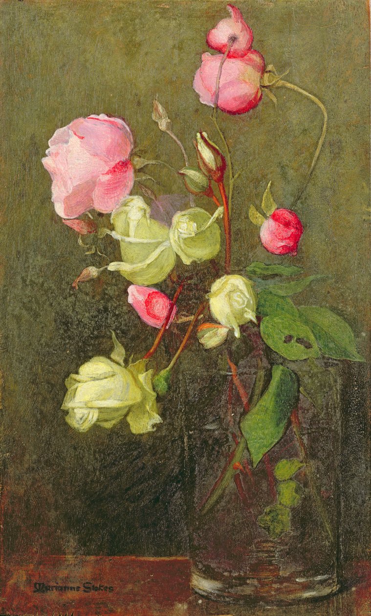 Rosas de Marianne Stokes