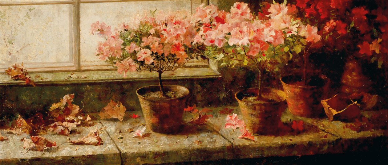 Azaleenstocke am FensternInglês: Floração de azáleas pelo Windown de Marie Egner