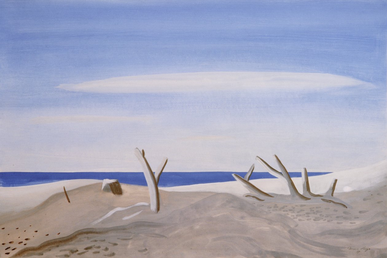 Frotas de madeira da Grande Jangada, 1987 de Marie Hugo