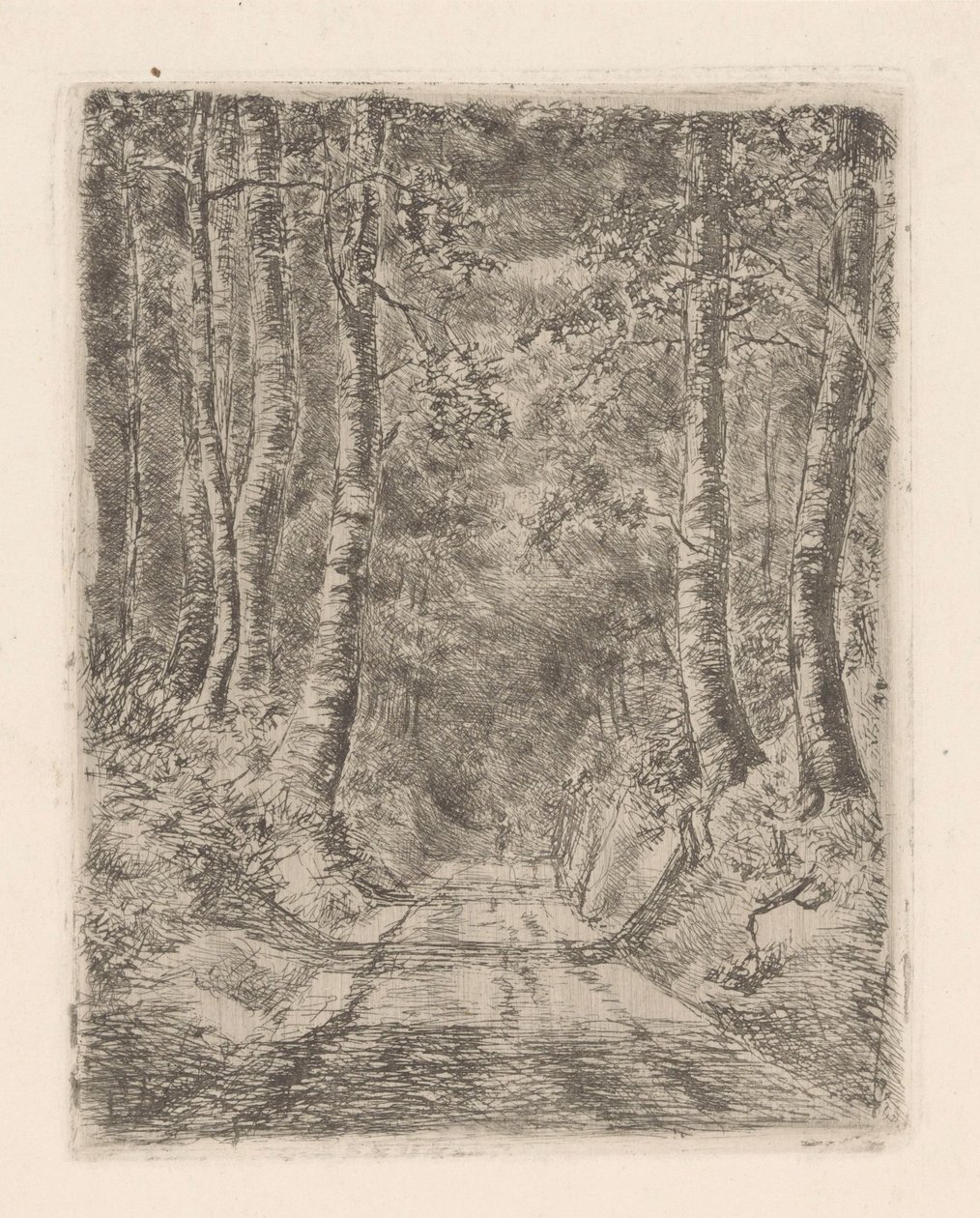 Floresta ao longo de uma estrada oca de Marie Adolphine van der Goes van Dirxland