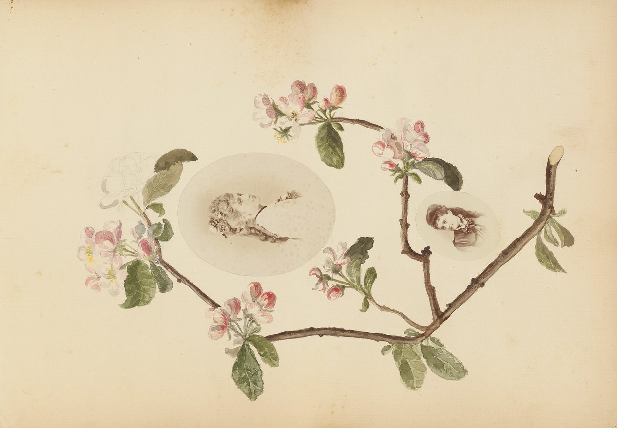 O álbum Madame B de Marie Blanche Hennelle Fournier