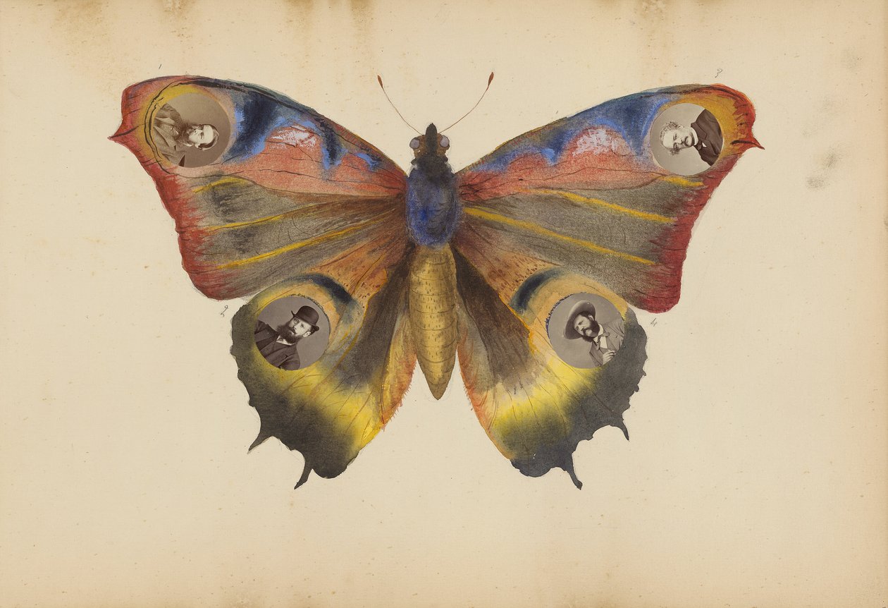 O Álbum Madame B de Marie Blanche Hennelle Fournier