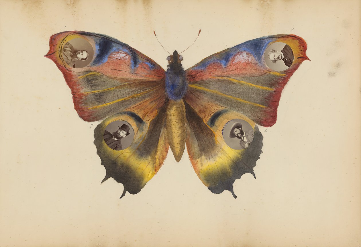 O álbum Madame B, década de 1870. de Marie Blanche Hennelle Fournier