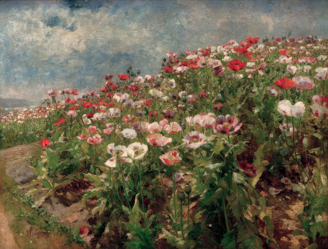 Papoila em flor, motivo de São Georgen perto de Melk. de Marie Egner